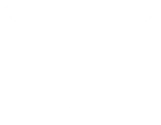 icône